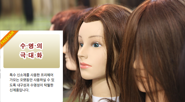 수명의 극대화 ---